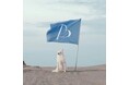 ペットブランド「STANDING ON THE BLUE」、2026年春夏コレクション第二弾を発売