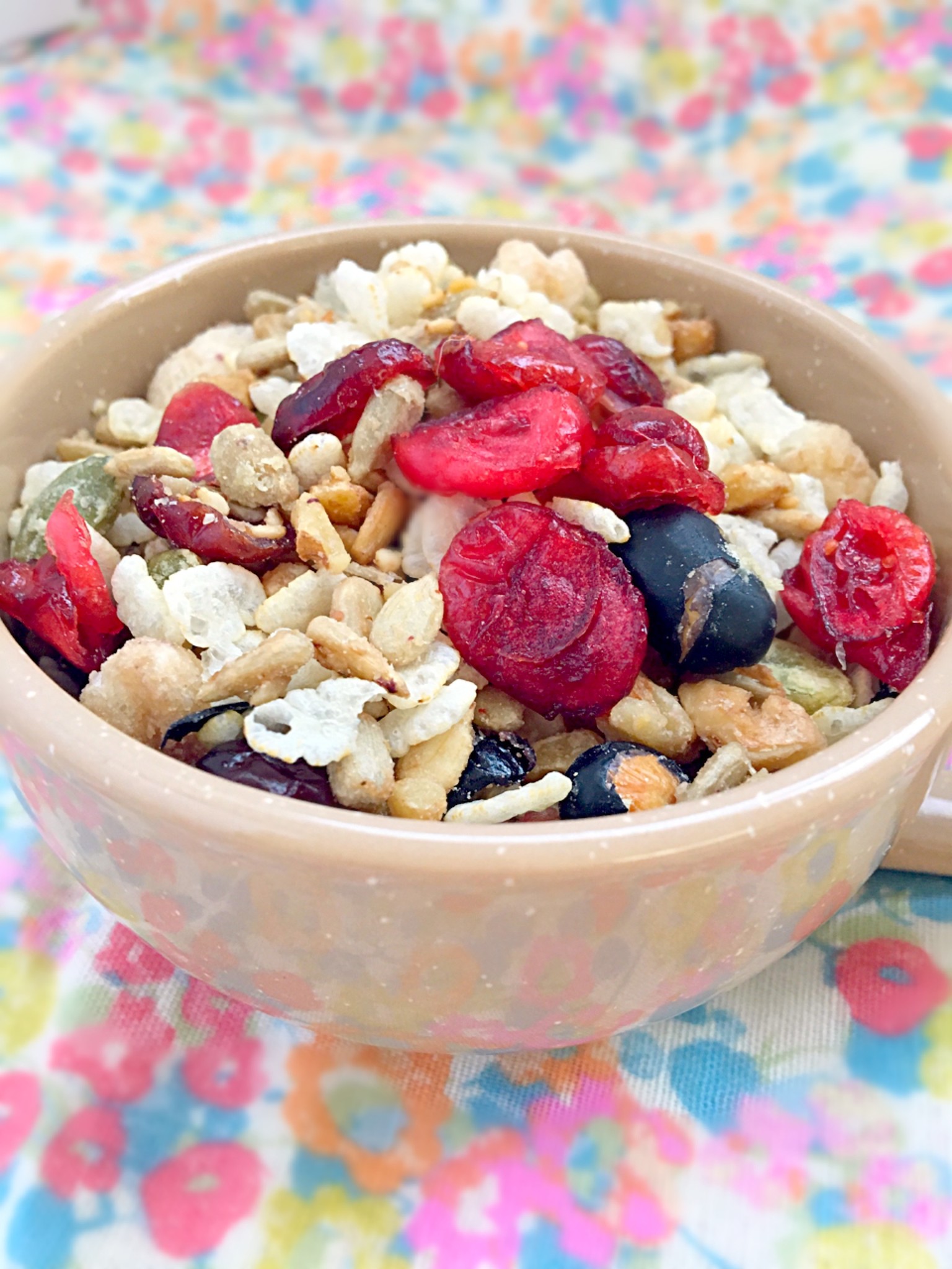 愛犬を元気にするドッグフードとは Dog Yellのプレスリリース