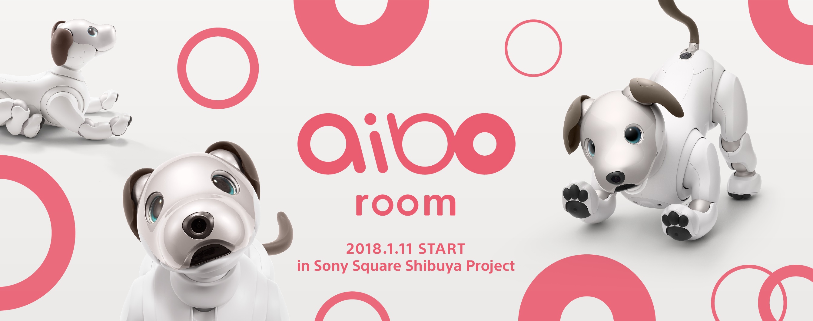 ソニースクエア渋谷プロジェクトに Aibo Room が登場 Aiboといち早く触れ合える場所 ソニー株式会社のプレスリリース