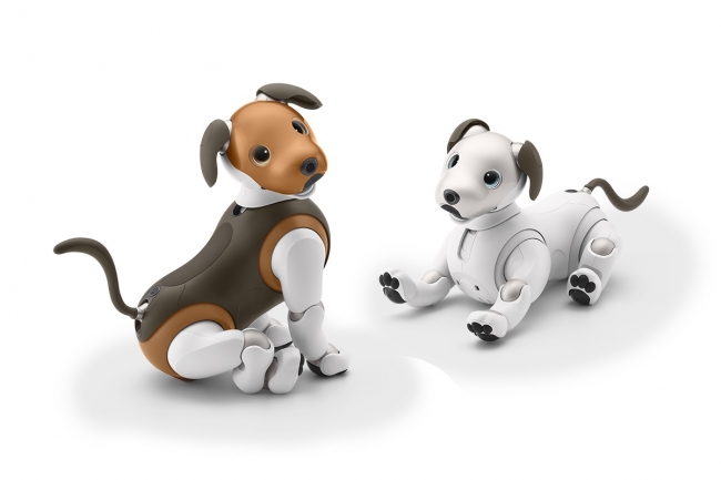 エンタテインメントロボット“aibo”（アイボ）2019年限定カラーモデル