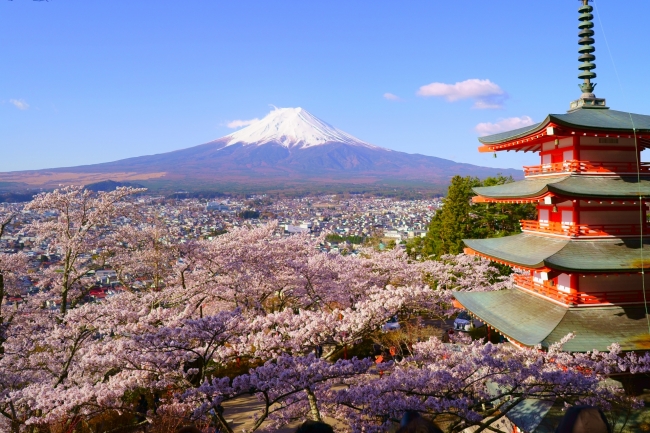 リターンを利用して行くことのできる日本有数の観光地。コロナ後にハイヤーやバスツアーでご案内します。