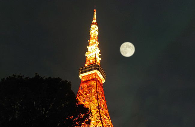 東京タワーとのコラボも美しい