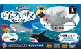 鋭い目×ふかふかボディのギャップ！コレクションしたくなる3カラー展開！ビッグサイズの「いかついサメぬいぐるみ」