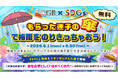 エブリデイゴールドラッシュのSDGs地域貢献企画梅雨の時期のビニール傘の放置問題に挑戦！
