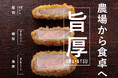 【大丸下関店】7月1日(火)、鹿野ファーム初のデパ地下惣菜店、厚切りとんかつ『ビストロ鹿野農場』が新規オープン!
