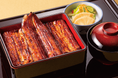 土用の丑の日2025!〈大丸心斎橋店〉ではうなぎ&お肉のスタミナ満点弁当など幅広くご用意