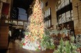 【大丸福岡天神店2025クリスマスツリー】 Legacy　～未来に続くいのちの光～