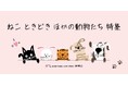 【大丸梅田店】＼バレンタイン後も楽しみがいっぱい♡／ねこ ときどき ほかの動物たち特集　@お菓子なパレード