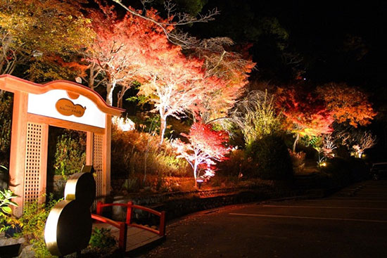 有馬地域内の紅葉名所で唯一のライトアップイベント 有馬 錦秋紅葉巡りの名所 紅葉の棚田 太閤の湯 リフレッシュオープン後 初のライトアップ 19年11月1日 金 よりスタート 株式会社阪急阪神ホテルズのプレスリリース