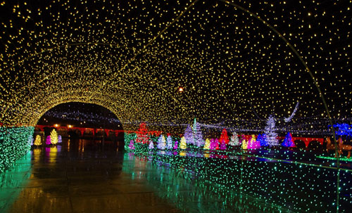 約300万球のLEDイルミネーション「神戸イルミナージュ2011」 鑑賞券