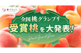 「食べチョク桃グランプリ2024」、山梨県「小野桃園（黎王：れいおう）」が総合大賞を受賞！