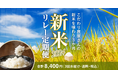 8月のお米の流通金額が前年同期比約10倍に増加。販売店での在庫不足によりECサイトでお米を購入する方が増えたことを受け、食べチョクで「新米リレー定期便2024」を販売開始。