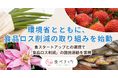 食べチョク、環境省とともに脱炭素社会の実現に向けて、食品ロス削減の取り組みを本格始動