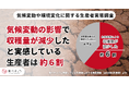 猛暑などの影響で約6割の生産者が収穫量減、規格外品が増加も。暑さに強い新品種の導入など気候変動対策を実施。