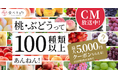 「桃・ぶどうって100種類以上あんねん!」食べチョクが新CM動画を公開。豊富な品種の魅力を発信。