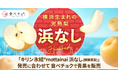 食べチョク、キリン 氷結®mottainai 浜なし(期間限定)販売に合わせ、横浜で栽培されたブランド梨「浜なし」青果の取扱を開始