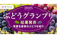 次世代エースぶどう!赤系新品種「サンシャインレッド」が総合大賞受賞。食べチョクぶどうグランプリ2025開催