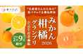 次世代のスター品種発掘！食べチョクが品評会「みかん・柑橘グランプリ2026」を初開催。全国から出品生産者の募集を開始