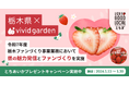 ビビッドガーデン、栃木県の「栃木ファンづくり事業」を受託し、県の魅力発信とファンとの継続的な関係構築を推進