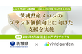 茨城県×ビビッドガーデン、いばらきメロン品評会「KING & QUEEN コンテスト 2026」を5月22日に開催