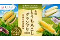 鮮度が命のとうもろこしを生食で審査！「食べチョク全国とうもろこしグランプリ2026」出品者を全国から募集、過去受賞者は売上20倍超も