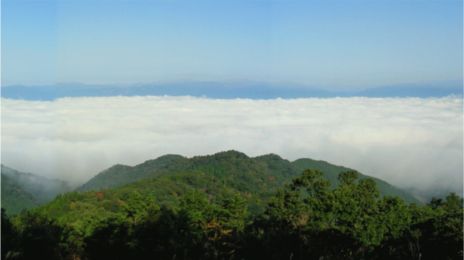 平成峠の雲海