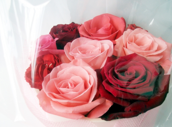 地元産バラを美容室が販売 地元の花を贈ろう を実施 株式会社ケイズカーサのプレスリリース