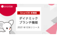 「SmartDB®︎」 ノーコードツールとして世界初のダイナミック・ブランチ機能(特許出願)を実装