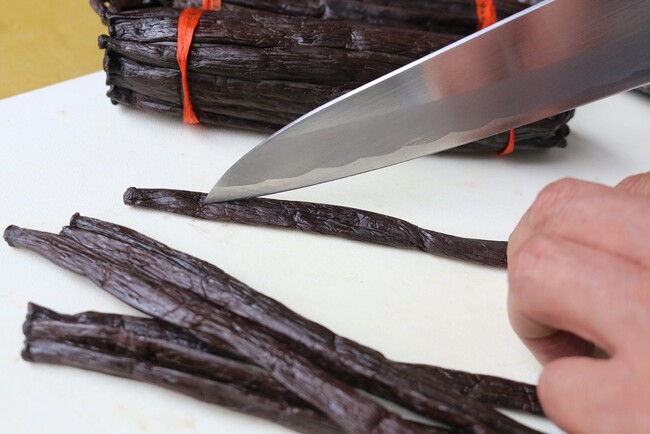 バニラは1本1本切り込みを入れてからビールに投入します バニラは1本1本切り込みを入れてからビールに投入します