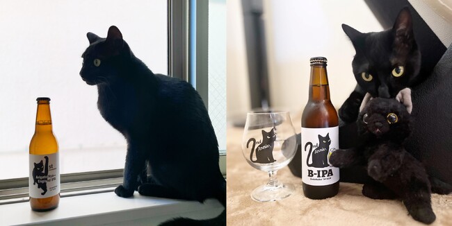 工場横で保護された黒猫とそれがモチーフになったビール