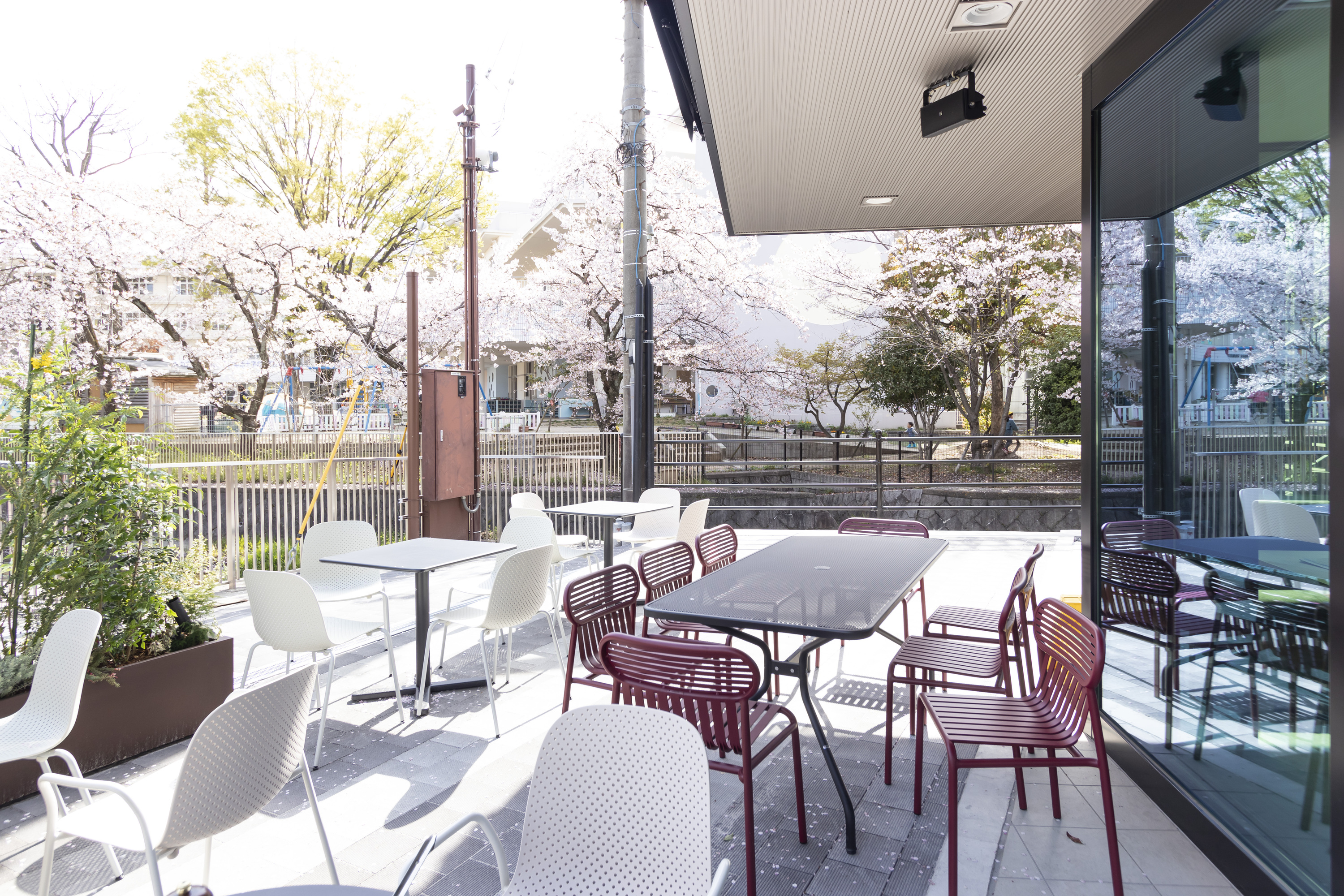 今年の花見は開放的な野外テラス席でゆったりと 滋賀県jr守山駅近く 桜の木々に隣接する薪窯ピッツェリア Idyllic アイドリック でお花見しながら楽しめる春のbbqプランがスタート 株式会社バルニバービのプレスリリース