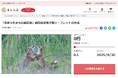 東京都多摩市とさとふる、生物多様性保全を目的とした電子版リーフレットを制作するため、寄付受け付けを開始