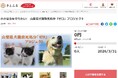 さとふる、山梨県の犬猫致死処分ゼロの継続を目指す動物愛護事業支援のため、寄付受け付けを開始