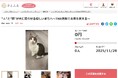 和歌山県橋本市とさとふる、TNR活動を推進し人と猫が共に暮らす環境を整えるため寄付受け付けを開始