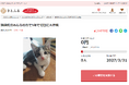 長野県飯田市とさとふる、猫の適正飼育と地域猫活動を推進するため寄付受け付けを開始