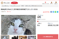 香川県三豊市とさとふる、地域猫活動継続を通して人と猫が共生していけるまちづくりを目指し、寄付受け付けを開始
