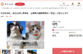 さとふると山梨県、犬猫の致死処分ゼロを継続し、人と動物が共生する社会を実現するため寄付受け付けを開始