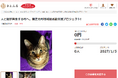 千葉県横芝光町とさとふる、飼い主のいない猫の補助事業を通じ、人と猫が共生できる町づくりを目指して寄付受け付けを開始