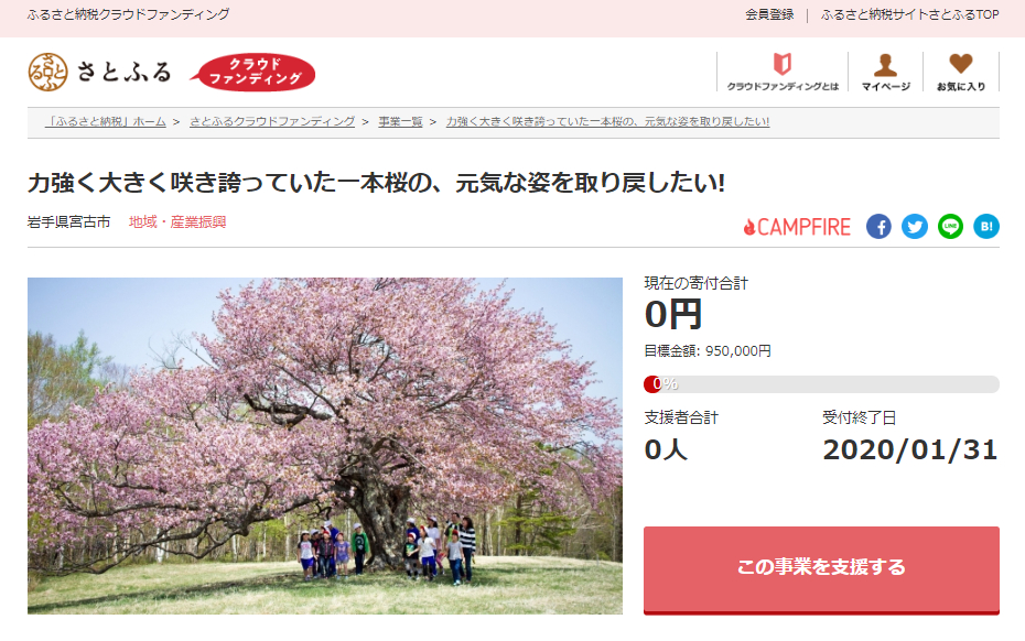 さとふる 岩手県宮古市の 亀ヶ森の一本桜 を後世に残すための寄付受け付けを開始 株式会社さとふるのプレスリリース