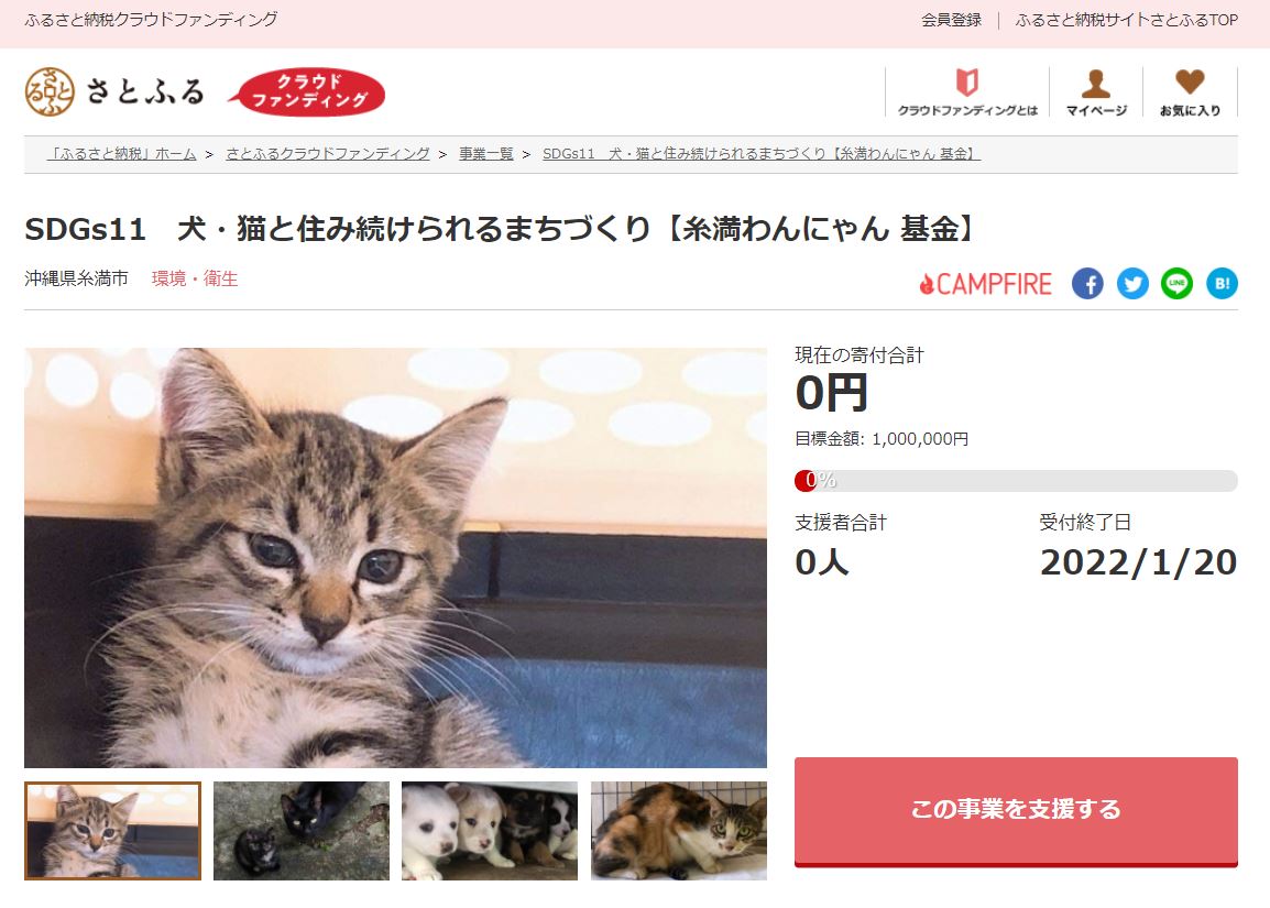 沖縄県糸満市とさとふる、犬や猫の不妊・去勢手術費用の一部を補助する
