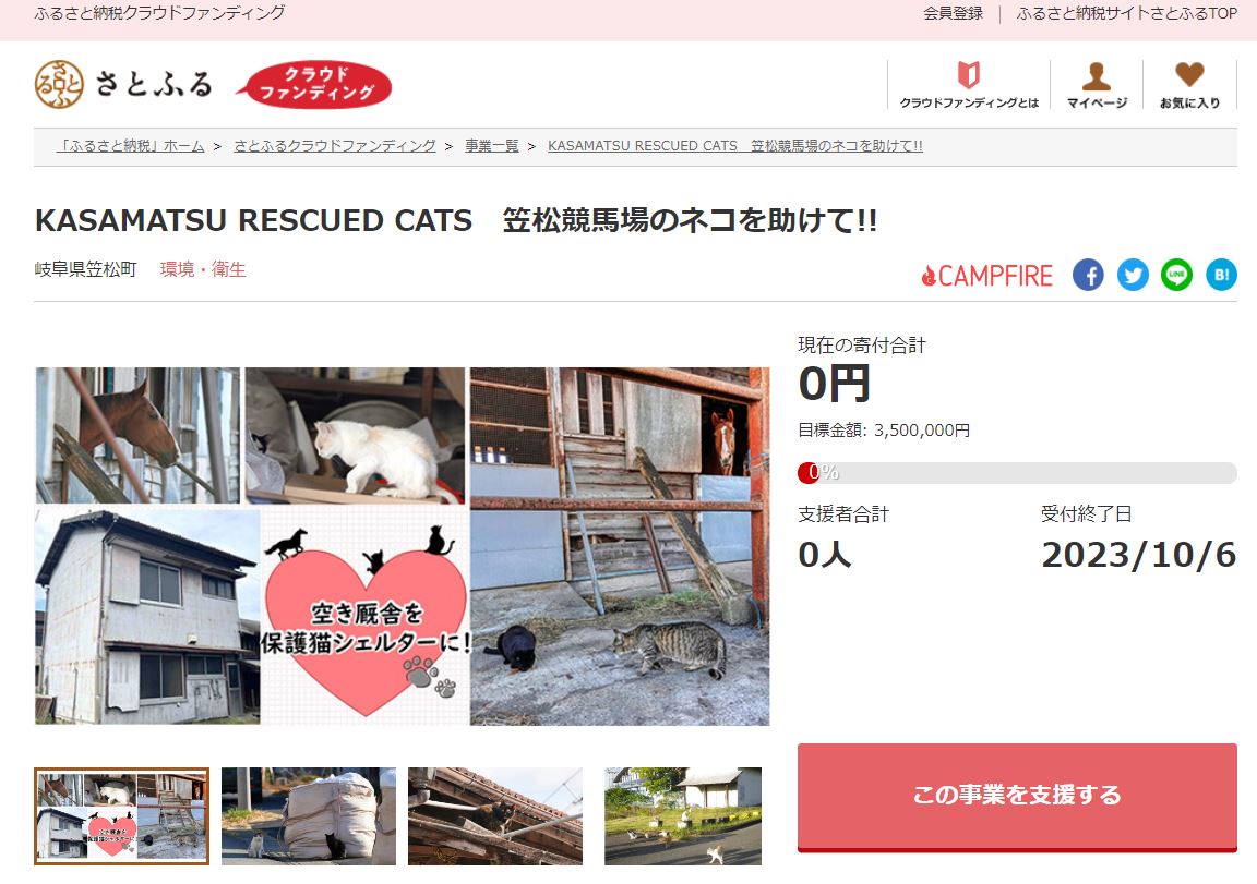 岐阜県笠松町とさとふる、笠松競馬場の空き厩舎を活用した保護猫