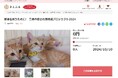香川県三豊市とさとふる、地域猫活動（※）の継続を通して人と猫が共生できるまちを目指し、寄付受け付けを開始