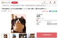 和歌山県橋本市とさとふる、TNR活動を推進し人と猫が住みやすい環境を整えるため寄付受け付けを開始
