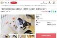 北海道別海町とさとふる、「保護犬の殺処分ゼロ」を目指し迷子犬の一時的な飼育環境を提供するため、寄付受け付けを開始