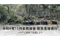 さとふる、「令和6年11月豪雨被害 緊急支援寄付サイト」で新たに沖縄県国頭村への寄付受け付けを開始