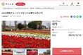 茨城県稲敷市とさとふる、2025稲敷チューリップまつり開催のため寄付受け付けを開始