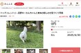 長野県長野市とさとふる、北信最大級のドッグランを整備するため寄付受け付けを開始