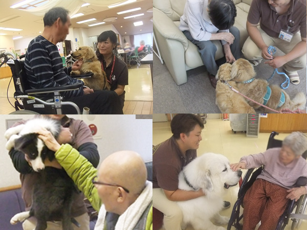 17年11月 岡山県北で初めて ドッグセラピー を取り入れた社会医療法人清風会の介護老人保健施設 おとなの学校 岡山校 に 新たなセラピー 犬が増えました 社会医療法人清風会のプレスリリース
