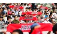 【国立競技場をサンライズレッドで染めよう】陸上日本代表応援企画 - 7/4~6 日本選手権でJAPANタオル30,000枚無料配布
