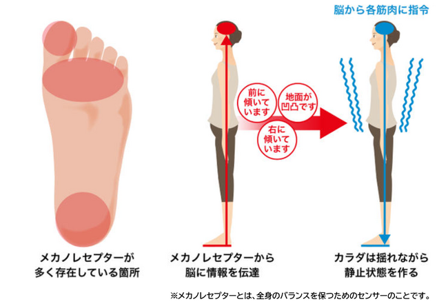登場ＢＭＺ